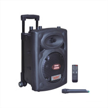 Professional Rechargeable Multimedia Speaker System
